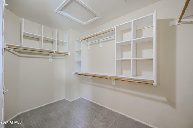 walk in closet featuring carpet