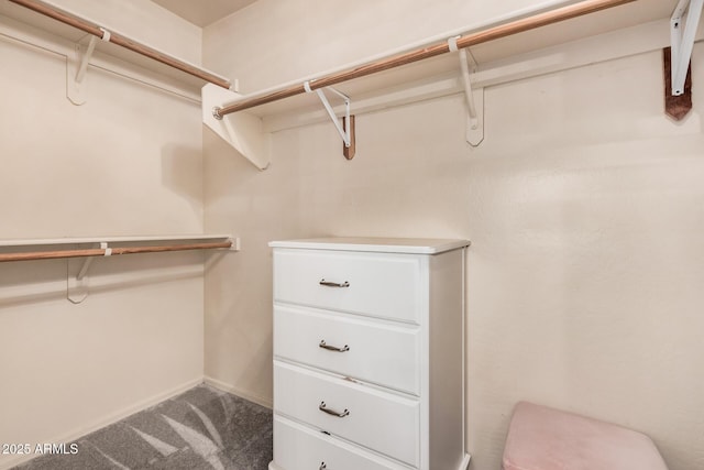 walk in closet with carpet