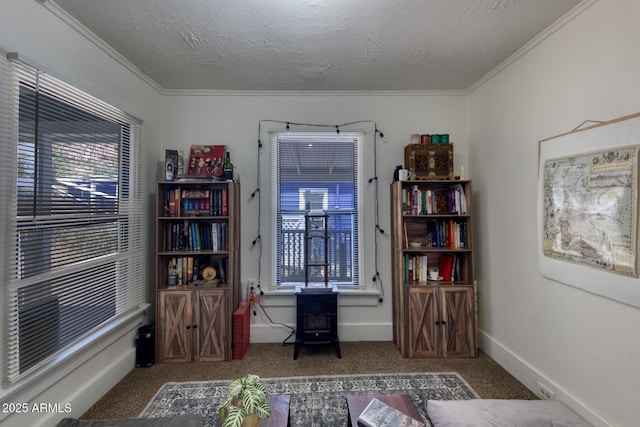 514 Brophy Ave, Bisbee, AZ 85603 - carpeted office space with ornamental molding, plenty of natural light, a wood stove, and baseboards