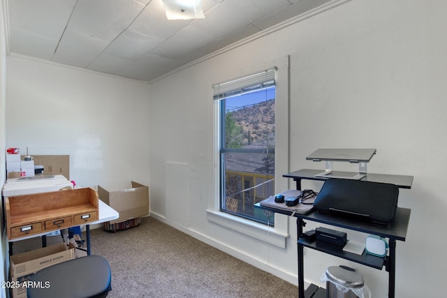 514 Brophy Ave, Bisbee, AZ 85603 - bedroom with carpet floors, ornamental molding, and an office area
