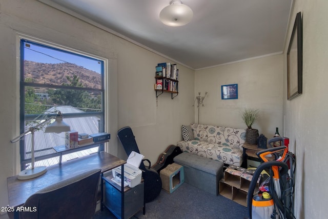 514 Brophy Ave, Bisbee, AZ 85603 - carpeted living room featuring crown molding