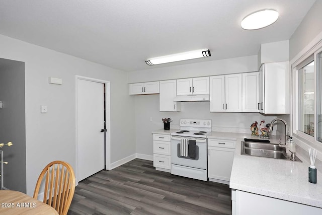 kitchen with white range with electric cooktop, dark wood finished floors, a sink, under cabinet range hood, and white cabinetry