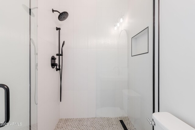 3145 E Boot Track Trl, Gilbert, AZ 85296 - bathroom with toilet and a tile shower
