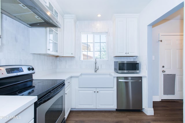 1006 S Una Ave, Tempe, AZ 85281 - kitchen featuring appliances with stainless steel finishes, extractor fan, white cabinetry, light countertops, and recessed lighting