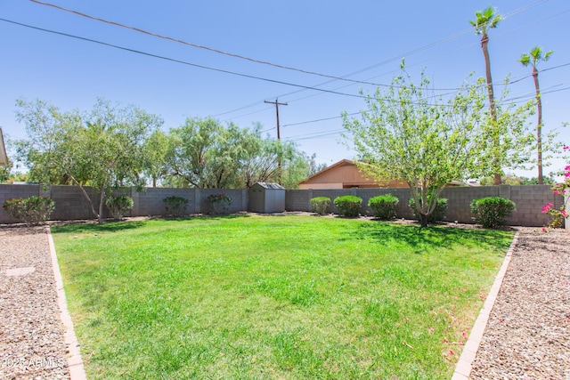 1006 S Una Ave, Tempe, AZ 85281 - fenced backyard with a storage unit