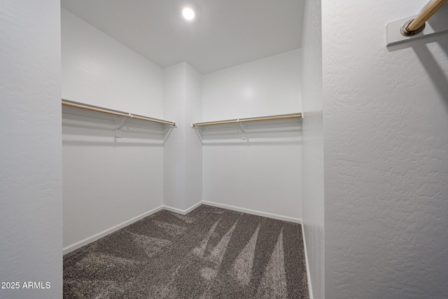 spacious closet featuring carpet floors