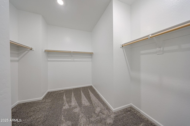 spacious closet with carpet