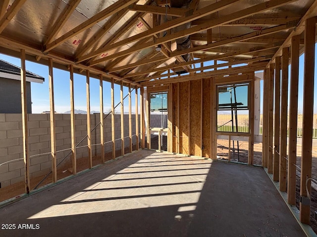 miscellaneous room featuring vaulted ceiling