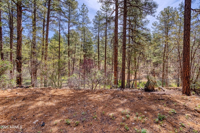 281 S 31st Dr, Show Low, AZ 85901 - view of woods
