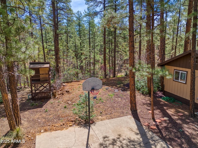 281 S 31st Dr, Show Low, AZ 85901 - view of yard featuring a forest view