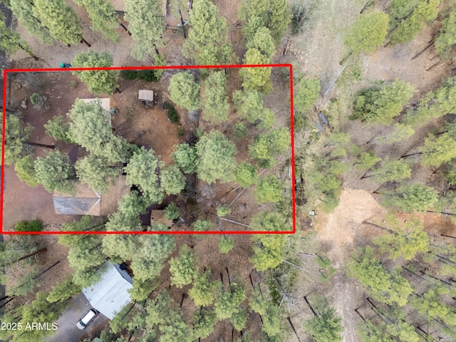 281 S 31st Dr, Show Low, AZ 85901 - view of property location with property boundaries highlighted