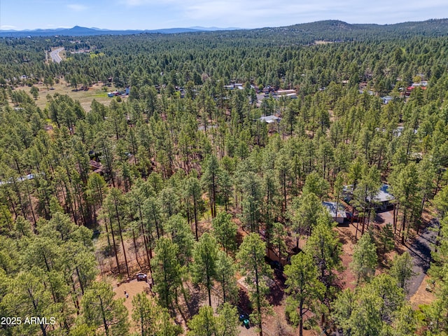 281 S 31st Dr, Show Low, AZ 85901 - drone / aerial view of a forest and a mountain backdrop