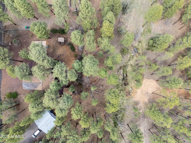 281 S 31st Dr, Show Low, AZ 85901 - aerial view of property and surrounding area