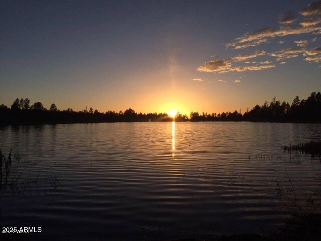 281 S 31st Dr, Show Low, AZ 85901 - water view