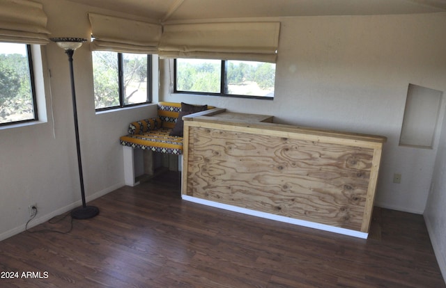 kitchen featuring dark hardwood / wood-style flooring