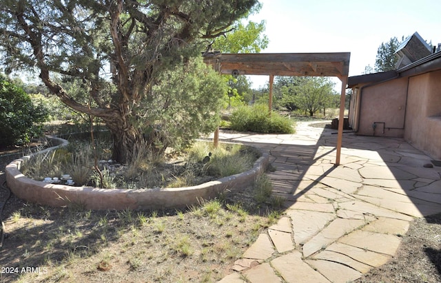 view of yard with a patio