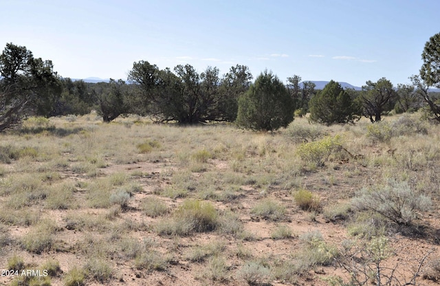 view of landscape featuring a rural view