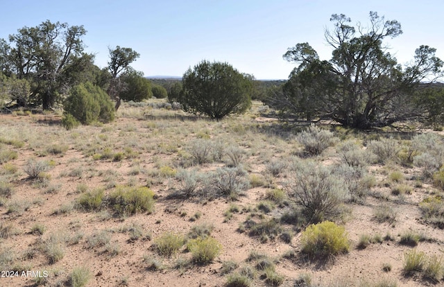 view of local wilderness with a rural view