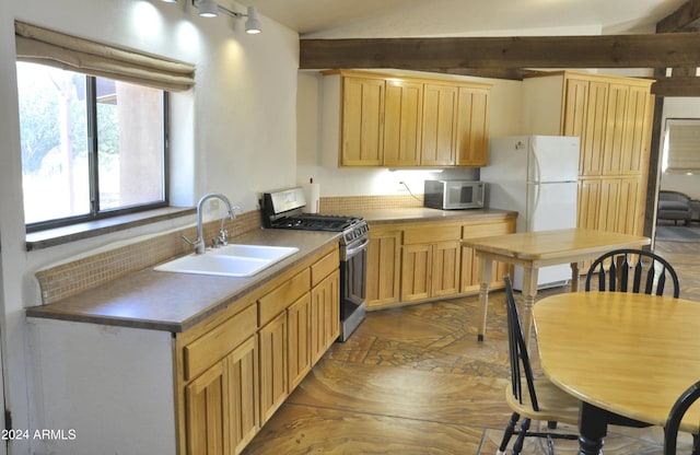 kitchen featuring rail lighting, sink, light brown cabinetry, wood-type flooring, and stainless steel appliances