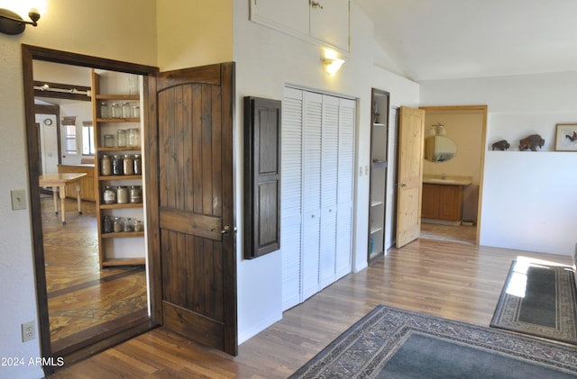 hall featuring lofted ceiling and dark wood-type flooring