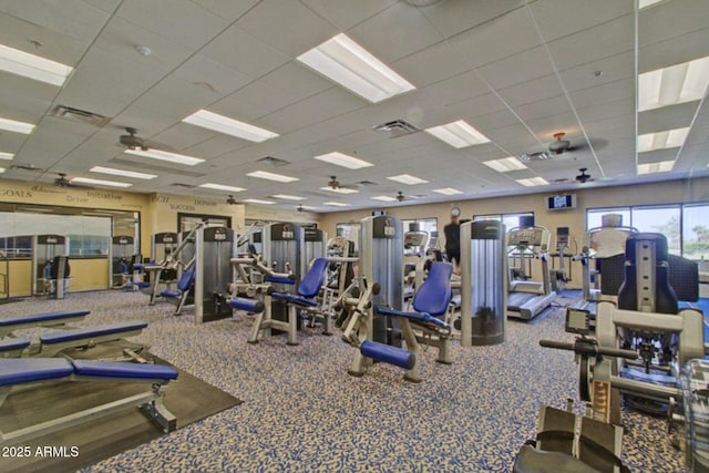 workout area with visible vents, a drop ceiling, and carpet flooring