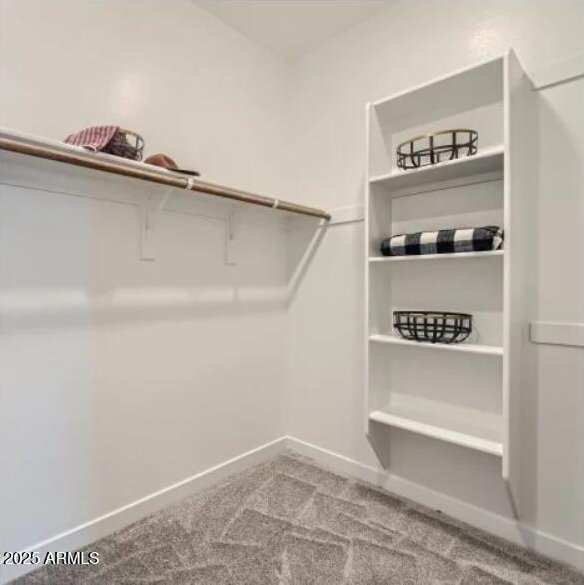23081 E Saddle Way, Queen Creek, AZ 85142 - spacious closet featuring carpet flooring
