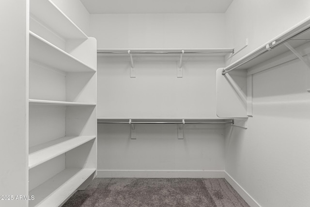 spacious closet featuring dark colored carpet