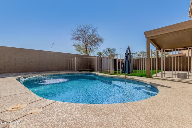 view of swimming pool with a patio area