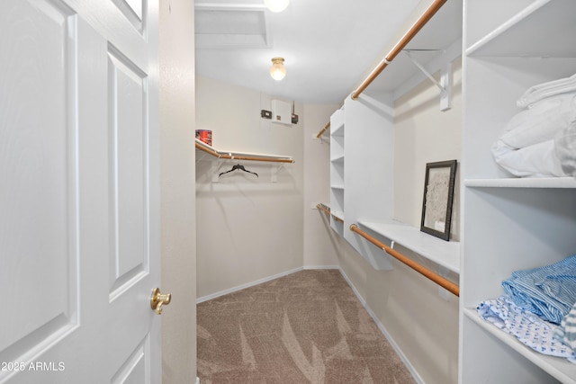 11553 W Cottontail Ct, Surprise, AZ 85378 - walk in closet with carpet