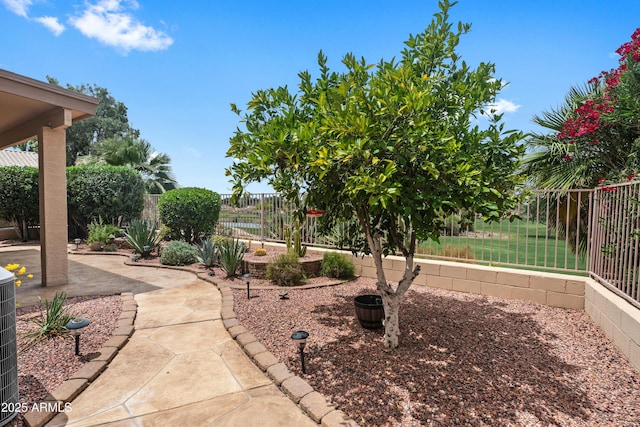 11553 W Cottontail Ct, Surprise, AZ 85378 - fenced backyard featuring a patio area