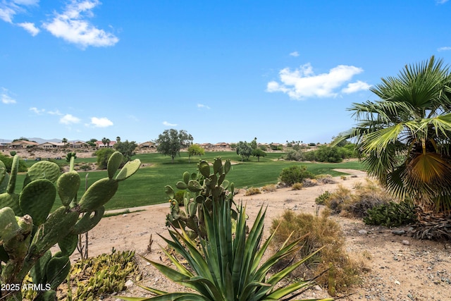 11553 W Cottontail Ct, Surprise, AZ 85378 - view of grassy yard