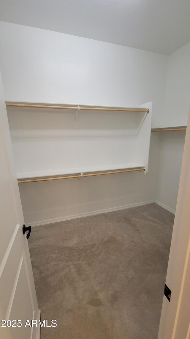 spacious closet featuring carpet flooring