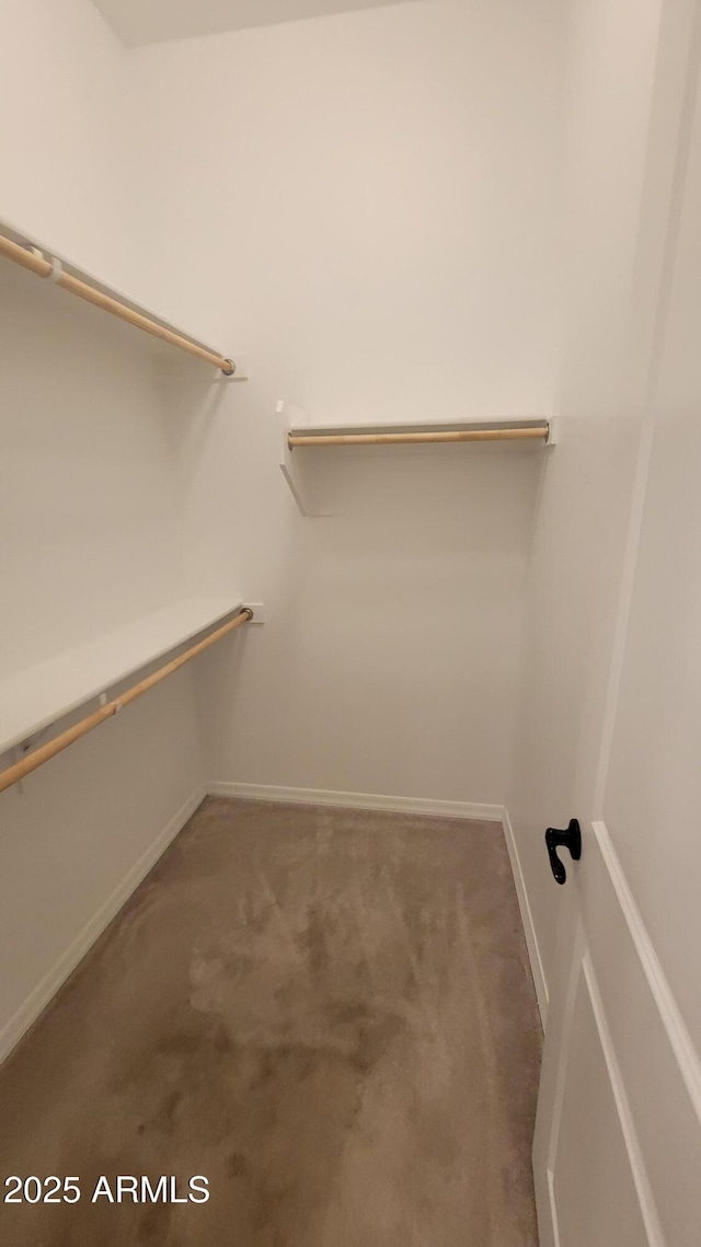 walk in closet featuring carpet