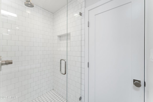 bathroom featuring a shower with shower door