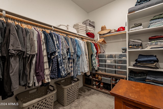 spacious closet featuring carpet