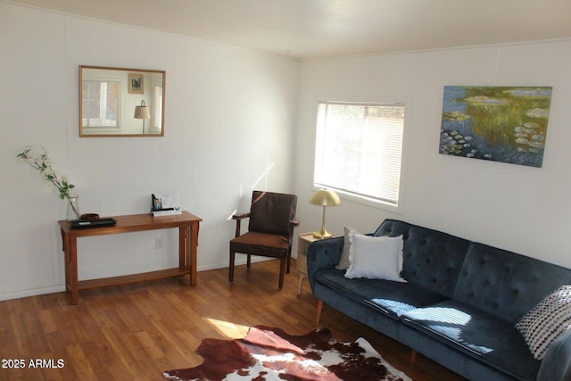 living room featuring hardwood / wood-style floors