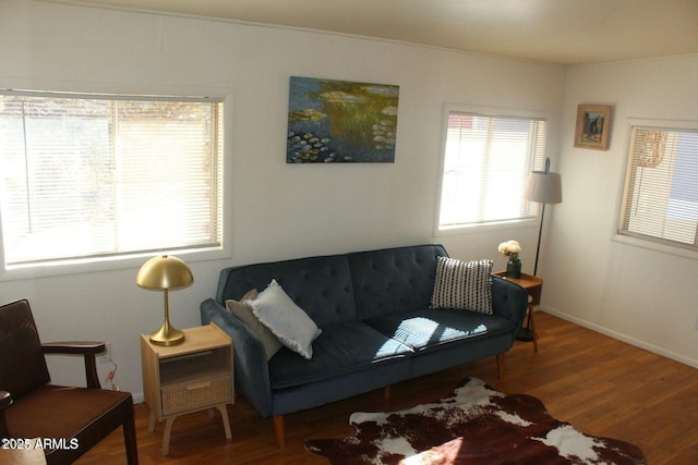 living room featuring wood-type flooring