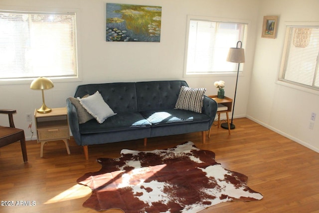 living room featuring hardwood / wood-style flooring