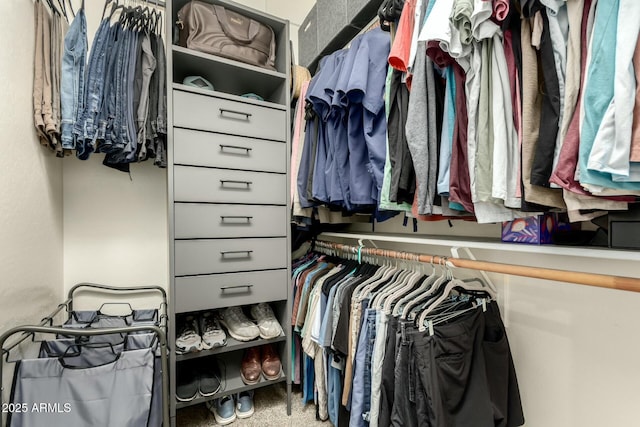 spacious closet with carpet