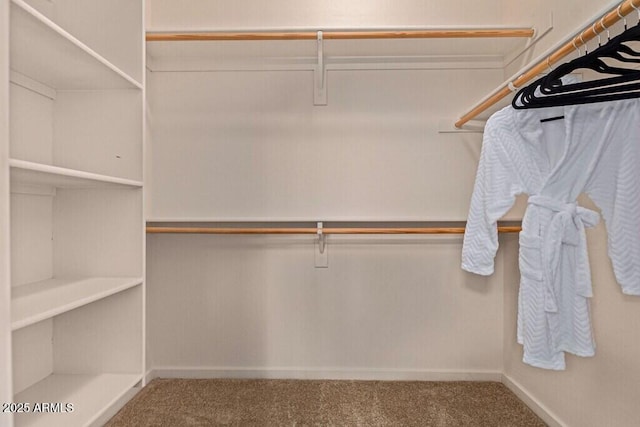 walk in closet with carpet floors