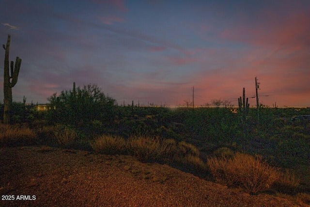 view of nature at dusk