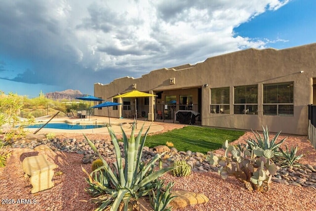 rear view of house with a patio, a fenced in pool, stucco siding, and fence