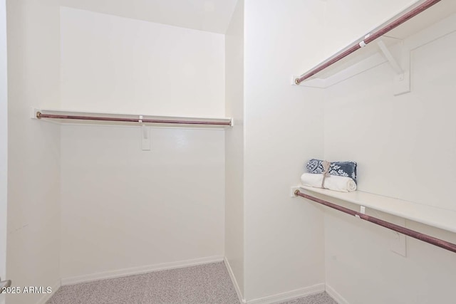 spacious closet featuring carpet floors