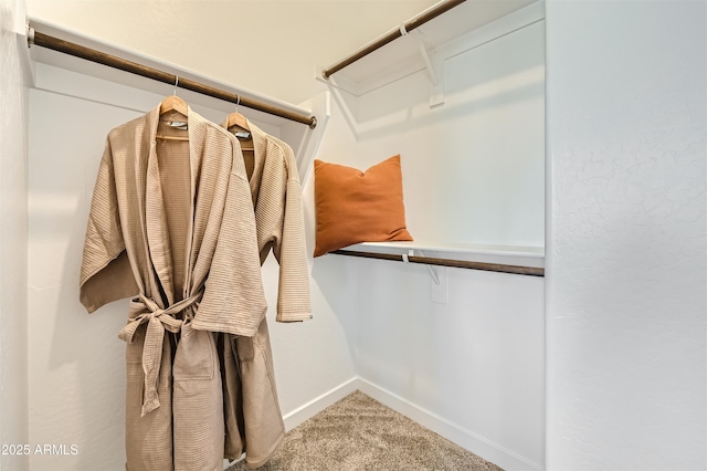 3339 S Lily Ave, Mesa, AZ 85212 - walk in closet with carpet floors