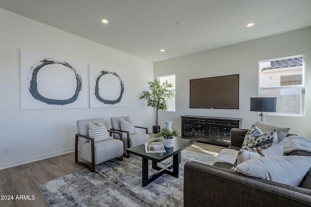 living room featuring hardwood / wood-style flooring