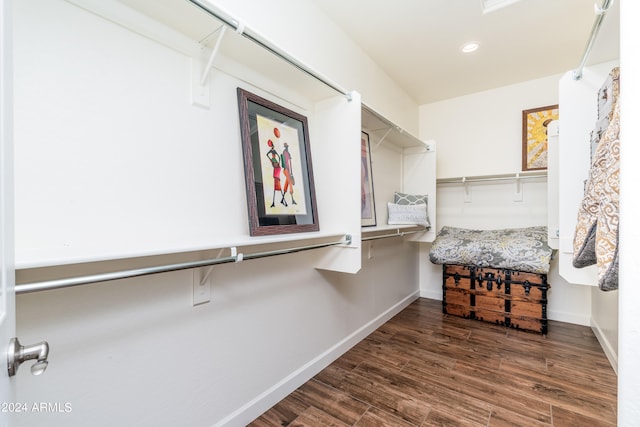 spacious closet with dark wood-type flooring