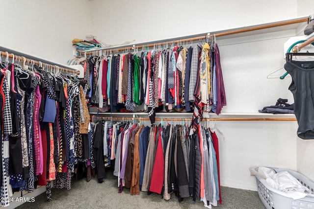 spacious closet featuring carpet flooring