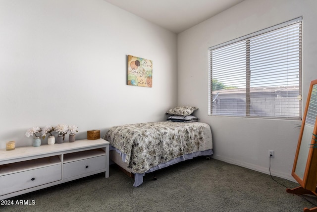 2914 E Gary Way, Phoenix, AZ 85042 - bedroom featuring carpet and baseboards