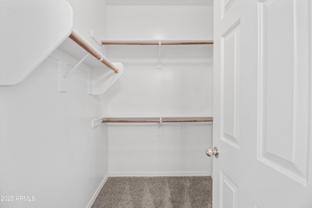 spacious closet featuring carpet floors