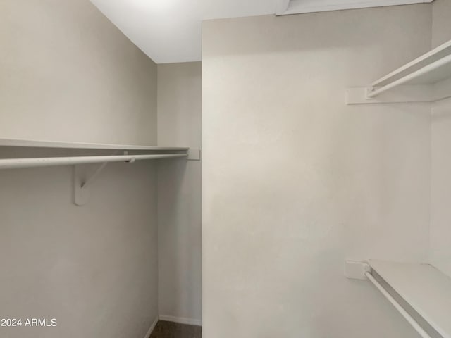 view of walk in closet